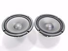 40-1011a Realistic Pair 2 Poly