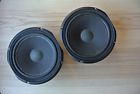 49f-jba Epicure Two Woofers For Models