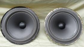1210072-1a Acoustic Research Pair Tsw 210 Midrange/woofers New Surrounds