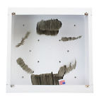 Sest-i8s Atlas Surface Loudspeaker Backbox Mount Box Enclosure