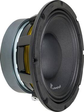 Aplmb-8 Audiopipe 784644234051 Audiopie 8 Inch Mid-low Frequency Loudspeaker Mid-bass Ohm