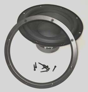 Asw600 Bowers & Wilkins Original And B&w Woofer 10 Inch Driver For Asw 600 Subwoofer