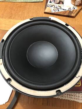 883tm Definitive Technology Clr 3000 10 Inch Woofer Subwoofer Driver Oem