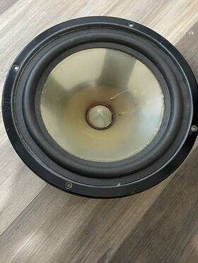 902-5079 Infinity 9025079 10 Inch Woofer. Tested Working Correct For Rsii