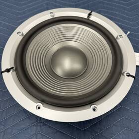 25pr10ex-lw01-e Jbl 10 Inch Driver Woofer Speaker Only For Venue Sub10