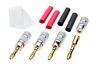 Nakbp20 Nakamichi Banana Plugs Gold Red Black 0724933962586