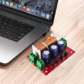 Yly-2088 Noenname Null 2-way Crossover Filters Module For Hifi Speaker Upgrade