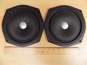 Eas-20p497s Panasonic Eas 8 Inch Passive Radiator Speaker