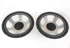 A30gu40-51d Pioneer 2 12 Inch Poly Woofer Speaker Refoamed