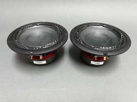 W04-01a Purifi Audio Ptt6.5 6.5 Inch Mid-woofer 4 Ohm Pair