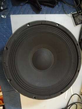 Qs12p10 Qsl Linha Profissianal 12 Inch 8 Ohm 300 Watt Woofer