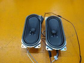 Lbb08704 Sanyo Tv Speaker Set Dp39843