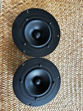 8424g00 Scanspeak 10f/8424g00 Fullrange Speaker Pair Universal Compatible