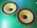 Sw155 Akai 12 Woofers Pair Price