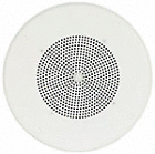 T15 Wooffer Polk Audio 5