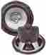 Tsax10 Audiopipe 10 Poly Cone Woofer 784644217023