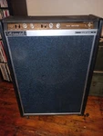 Standel Custom 30 Bass Amplifier Has 2 115 Inch Speakers Works. Fixed Price $575.00.