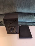 Pinnacle PN2+ Pas 12 Speaker. Fixed Price $25.00.