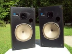 Pioneer CS-G1000, 2-WAY Bass Reflex, Stereo Speakers (modified). Fixed Price $125.00.