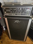 Peavey 215 Bw 2X15 Bass Speaker Cabinet 400 Series Head. Fixed Price $600.00.