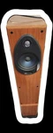 Polk Audio RTI100 Powered Floor Standing Speaker. Fixed Price $80.00.
