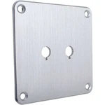 Dayton Audio Sbpp-si Binding Post Plate Silver Anodized. Fixed Price $19.95.