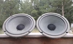 Original Ess AMT3 Rock Monitor Alnico 10" Woofers.. Fixed Price $250.00.