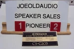 Pioneer CS-G203 Cabinet Logo. Fixed Price $9.99.