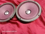 Altec Lansing 401-XH Pair Purple Potamus Hemp Fiber Cones 1960 Pmr Speakers. Fixed Price $280.00.