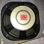 Oem Pioneer Woofer Fb 25-712F Come Off CS-R500 Speaker. Fixed Price $75.00.