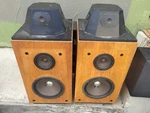 Rare Dbx SF-10 Speakers. Fixed Price $350.00.