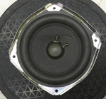 Bose Replacement Speaker - 289104002. Fixed Price $36.99.