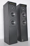 Meridian DSP5000 Digital Loudspeaker System Floorstanding Powered Nice. Fixed Price $599.99.
