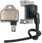 BM11 21119-2161 Igniter Module Ignitor With 21121-2008 AM101065 Ignition Coil Fo. Fixed Price $49.97.
