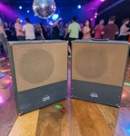 Jensen Delta Series DL120 High Fidelity Loud Speaker With Portable Case. Fixed Price $155.95.