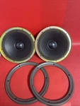 Two-technics EAS30PL308A6 Ohm Speaker Driver Made Taiwan Vintage Audio. Fixed Price $85.00.