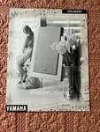 Original Vintage Yamaha Concert Series Loudspeaker Brochure From 1995. Fixed Price $7.00.
