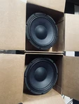 Eminence Pair 10" Woofer Speaker Drivers DG21-10-022 16 Ohm Used. Fixed Price $100.00.