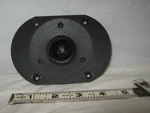 Paradigm Speaker - 1/4" X 3/4" From Mini MK3. Fixed Price $49.95.