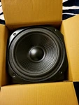 Square Frame Paper Cone Woofer, Model Grs 10SFPC-B 10", Black, New.. Fixed Price $35.00.