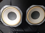Jbl LE10A Woofer With Matching Passive Radiator From Lancer 77S Video. Fixed Price $199.99.
