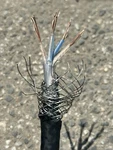 Siemens Vintage 100 Meter Field Coil Speaker Ac Cable 1962 Krupp Strongest Wire. Fixed Price $349.00.