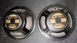 Fender V1030 Pair Musical Instrument Loudspeakers. Fixed Price $150.00.