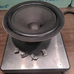 Bang Olufsen B&o Beovox 3000 10" Woofer 4 Ohm W/clips Screws. Fixed Price $38.39.