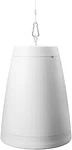 Nero Arc 8 Inch Professional Hanging Pendant Subwoofer 300W, Graphite Cone,. Fixed Price $544.99.