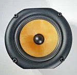 Bowers And Wilkins B&w Mid Woofer Speaker DM603 S1 DM604 DM602 ZZ10129 Oem. Fixed Price $85.00.