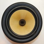 Bowers And Wilkins B&w Woofer Speaker ZZ12025 Cdmsnt. Fixed Price $150.00.