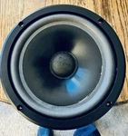 Infinity RS-3001 Woofer And Crossover. Fixed Price $25.00.