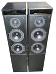 Meridian DSP5000 Active Digital Loudspeaker System Pair. Fixed Price $749.00.